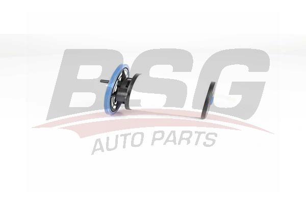 BSG 25130005 Yakıt Filtresi