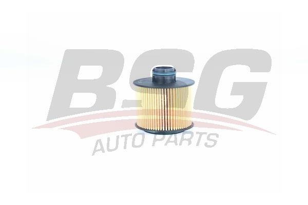 BSG 65140006 Yağ Filtresi