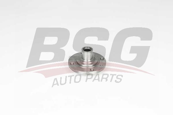 BSG 75600004 Porya Ön