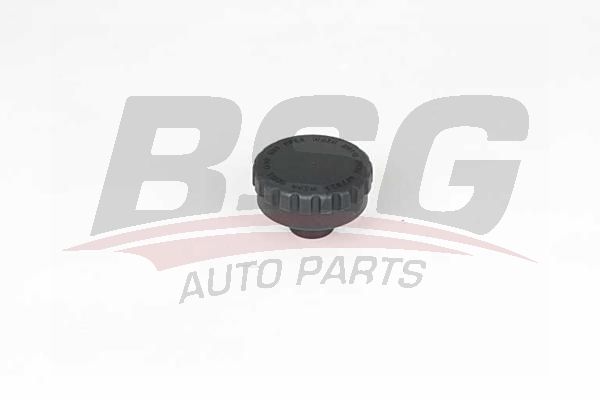 BSG 15551002 Radyatör Kapağı - . Görsel