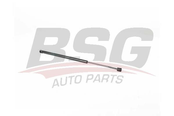 BSG 15980079 Motor Kaput Amortisörü