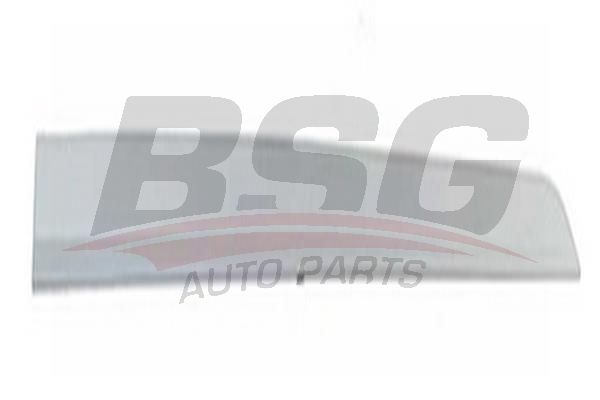 BSG 65924002 Kapı Bandı Ön Sağ