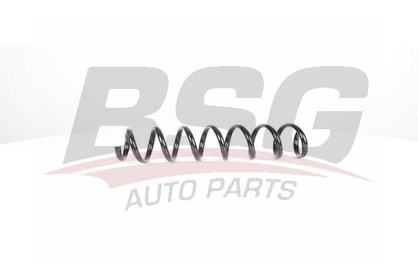 BSG 15305002 Helezon Yayı Arka