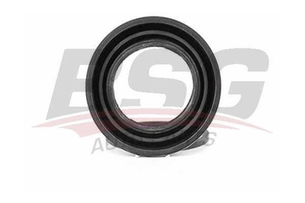 BSG 30251014 Kaliper Piston Tamir Takımı Ön