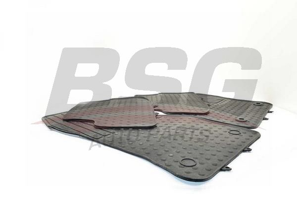 BSG 90934020 Paspas Takımı