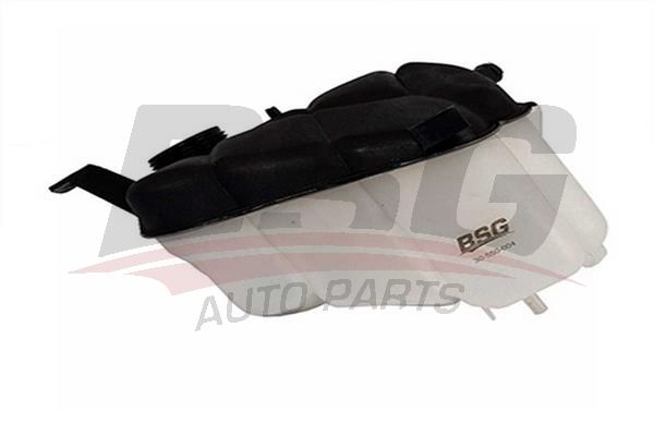 BSG 30550004 Radyatör Yedek Su Deposu