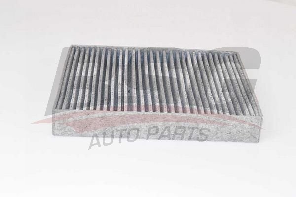 BSG 90145023 Polen Filtresi