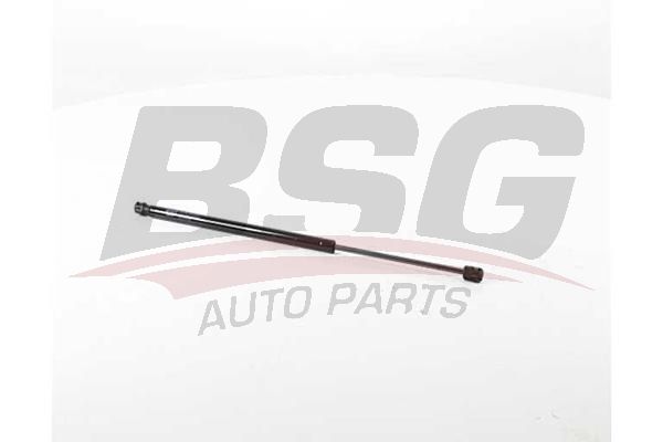 BSG 75980024 Motor Kaput Amortisörü