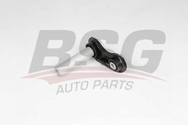 BSG 15315153 Salıncak Arka