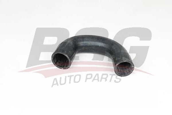 BSG 65700345 Turbo Hortumu
