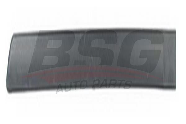 BSG 65925012 Kapı Bandı Arka Sol