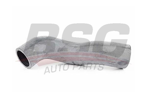 BSG 90720048 Turbo Hortumu