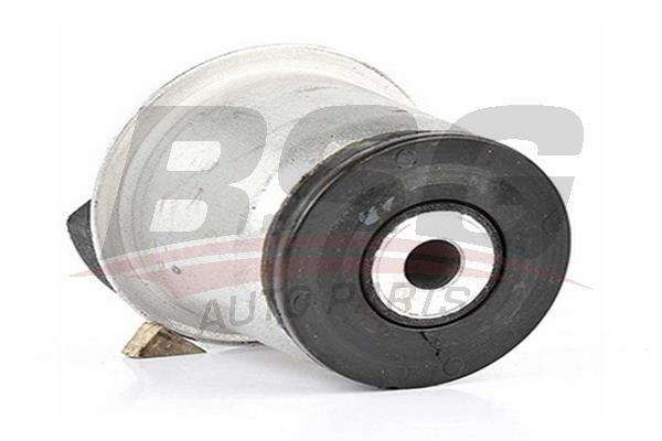 BSG 65700093 Dingil Burcu Arka