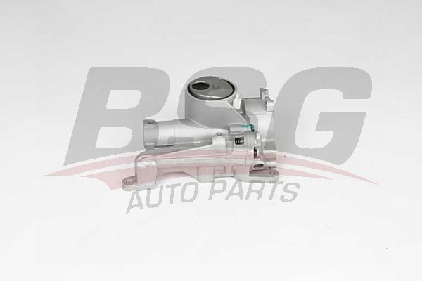 BSG 70101001 Yağ Pompası