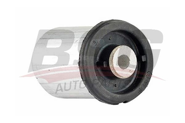 BSG 90700102 Salıncak Burcu Arka
