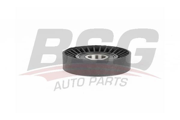 BSG 40615009 V Kayış Gergi Rulmanı