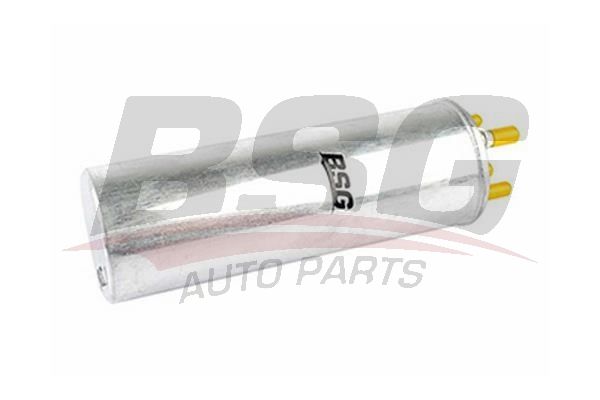 BSG 90130013 Yakıt Filtresi