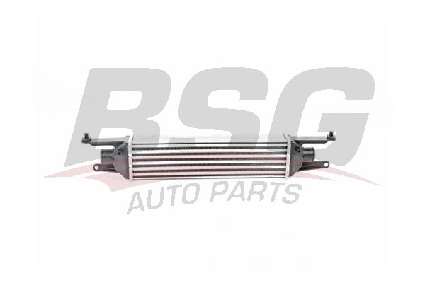 BSG 25535009 Turbo Radyatörü