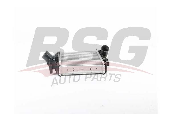 BSG 60535014 Turbo Radyatörü - . Görsel