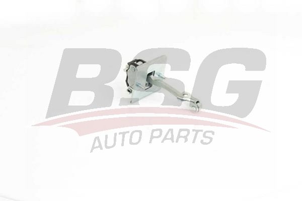 BSG 70975055 Kapı Gergisi Ön