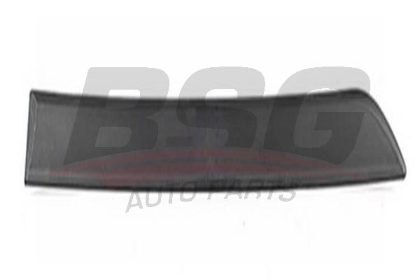 BSG 65925047 Kapı Bandı Arka Sağ