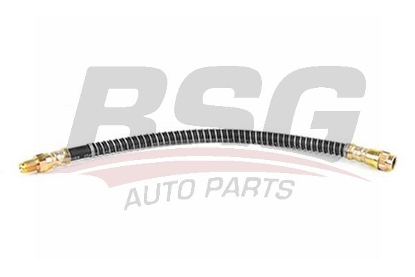 BSG 70730009 Fren Hortumu Ön - . Görsel