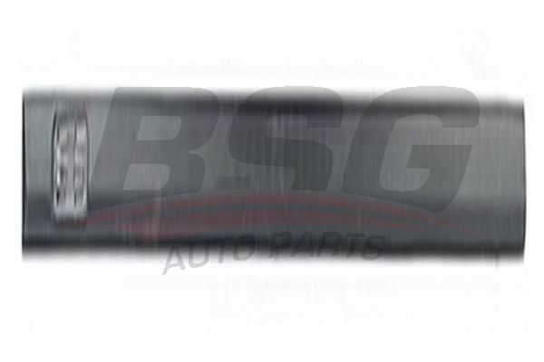 BSG 65925033 Kapı Bandı Ön Sağ
