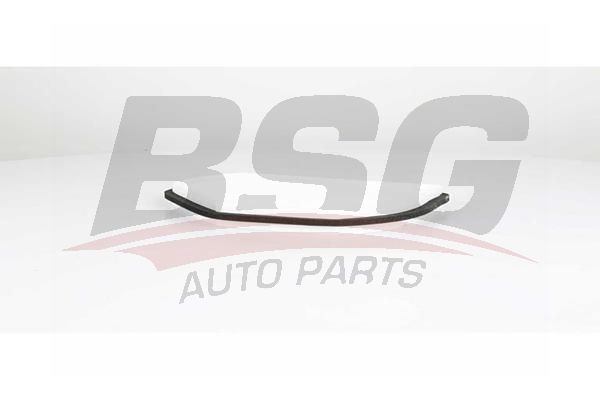 BSG 60145004 Polen Filtresi