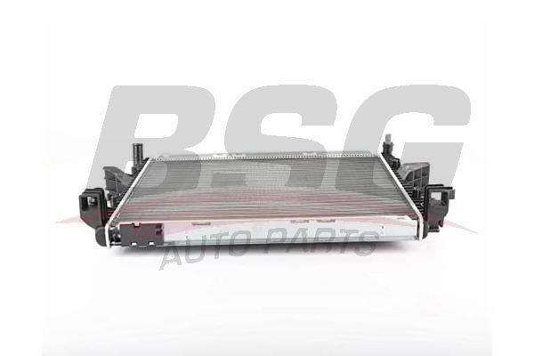 BSG 90520024 Su Radyatörü