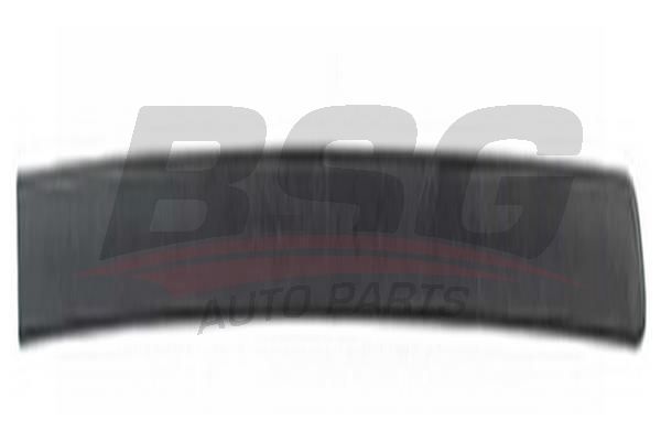 BSG 65925024 Kapı Bandı Arka Sağ
