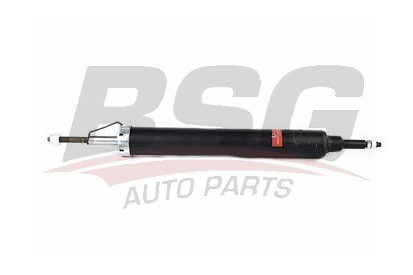BSG 15300018 Amortisör Arka