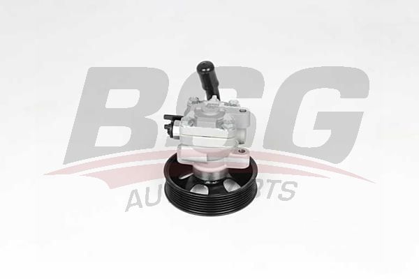 BSG 40355017 Direksiyon Pompası - . Görsel