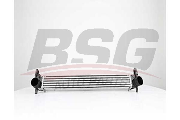BSG 90535015 Turbo Radyatörü