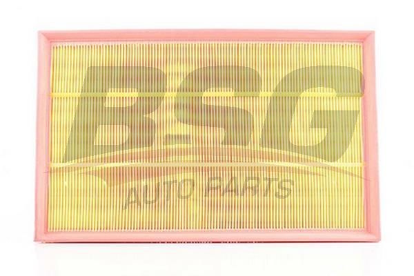 BSG 60135002 Hava Filtresi
