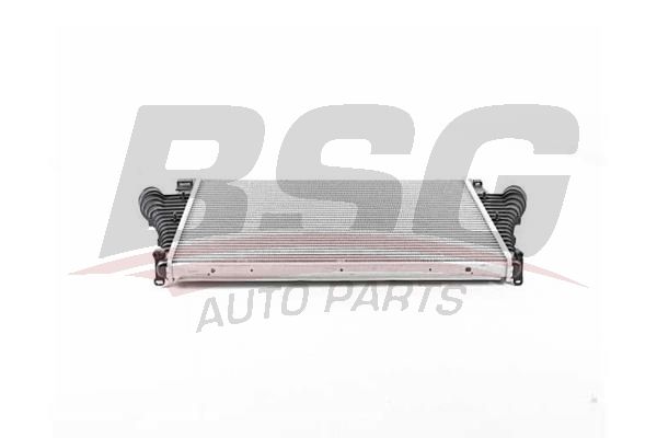 BSG 65535007 Turbo Radyatörü