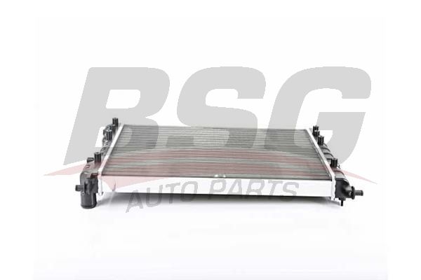 BSG 25520009 Su Radyatörü