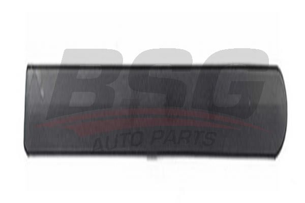 BSG 65924029 Kapı Bandı Arka Sağ