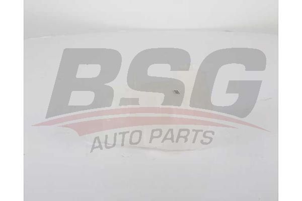 BSG 65550017 Radyatör Yedek Su Deposu