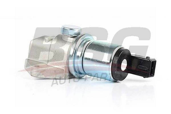 BSG 30836001 Rolantı Ayar Valfi