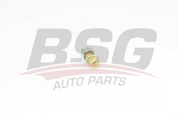 BSG 75840002 Yağ Basınç Müşürü