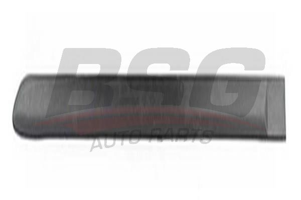 BSG 65925020 Kapı Bandı Arka Sol