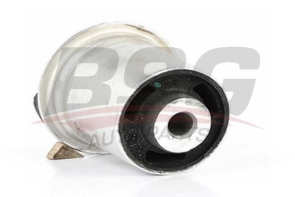 BSG 65700091 Dingil Burcu Arka