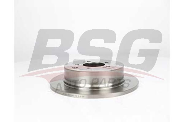 BSG 40210042 Fren Diski Arka