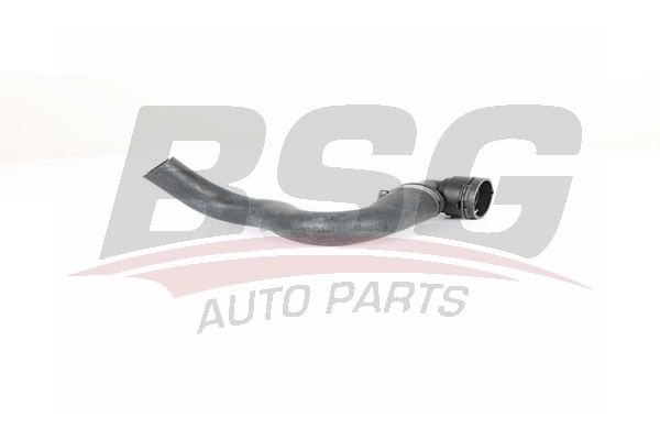 BSG 65720194 Radyatör Hortumu Alt - 1. Görsel