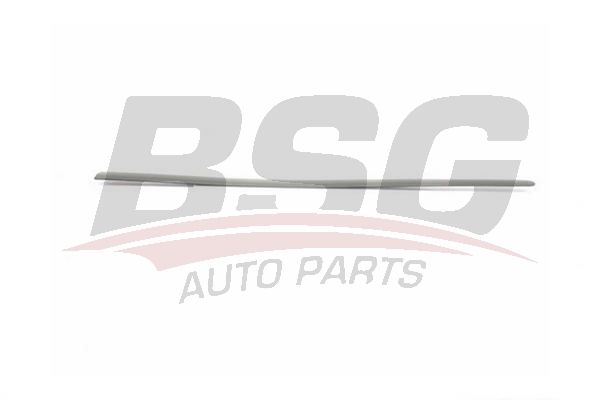 BSG 90924025 Kapı Bandı Ön Sol