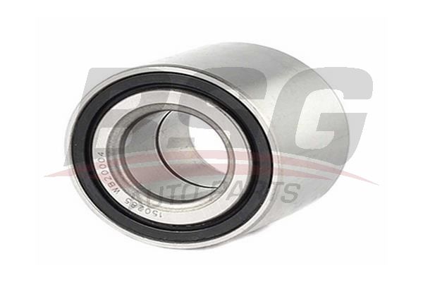 BSG 16325005 Porya Rulmanı Arka
