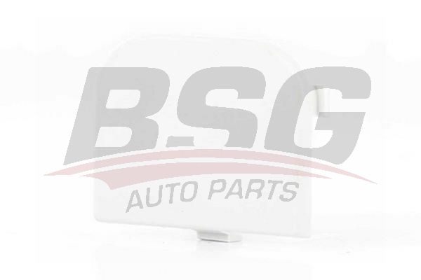 BSG 30922087 Çeki Demir Kapağı Arka