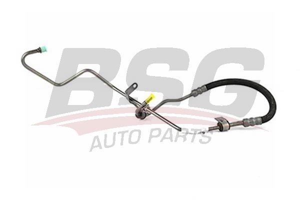BSG 30725038 Direksiyon Hortumu