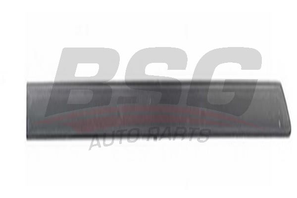 BSG 65925004 Kapı Bandı Arka Sağ