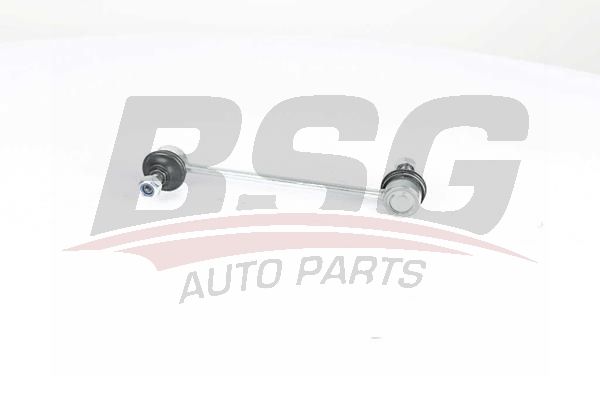 BSG 40310144 Viraj Askı Rotu Arka